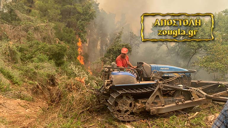 Μάχη για να σωθούν οι Κεχριές στην Εύβοια – Εξοργισμένοι οι κάτοικοι με την πολιτική προστασία